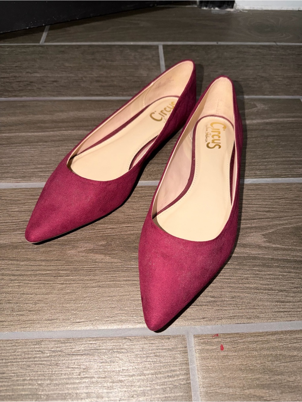 Circus by Sam Edelman Ryane Pointed Fuchsia Suede Flats